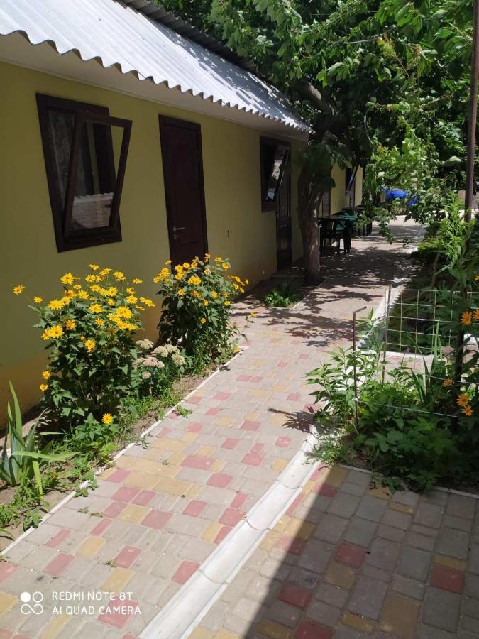 Small Guest House Lazurne Exterior foto